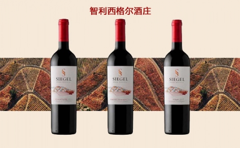 西格爾酒莊赤霞珠干紅葡萄酒 智利西赫酒莊SIEGEL